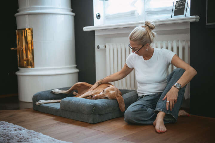 HUNTER Orthopädisches Hunde-Sofa Melun